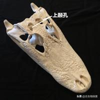 GG修改器2024最新使用指南：从基础到高阶的完整教程